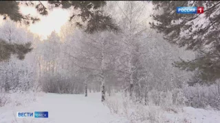 Аномальное тепло придет в Омскую область