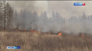 В Омской области спрогнозировали риски по лесным пожарам