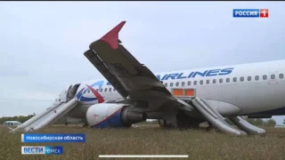 Судьба самолета Сочи – Омск: экстренная посадка в пшенице завершилась распилом