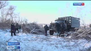 В Омске сегодня проведут «горячую линию» по вопросам заготовки древесины