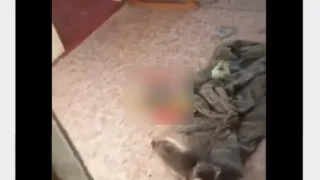 Следственный комитет и прокуратура проверят неблагополучную семью из Омской области