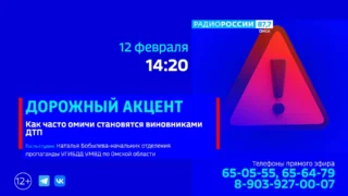 «Дорожный акцент», Аварийность на омских дорогах