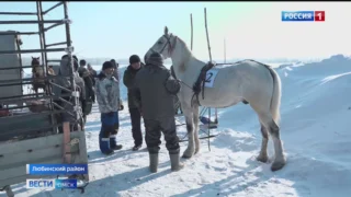 В Любинском районе состоялись проводы зимы