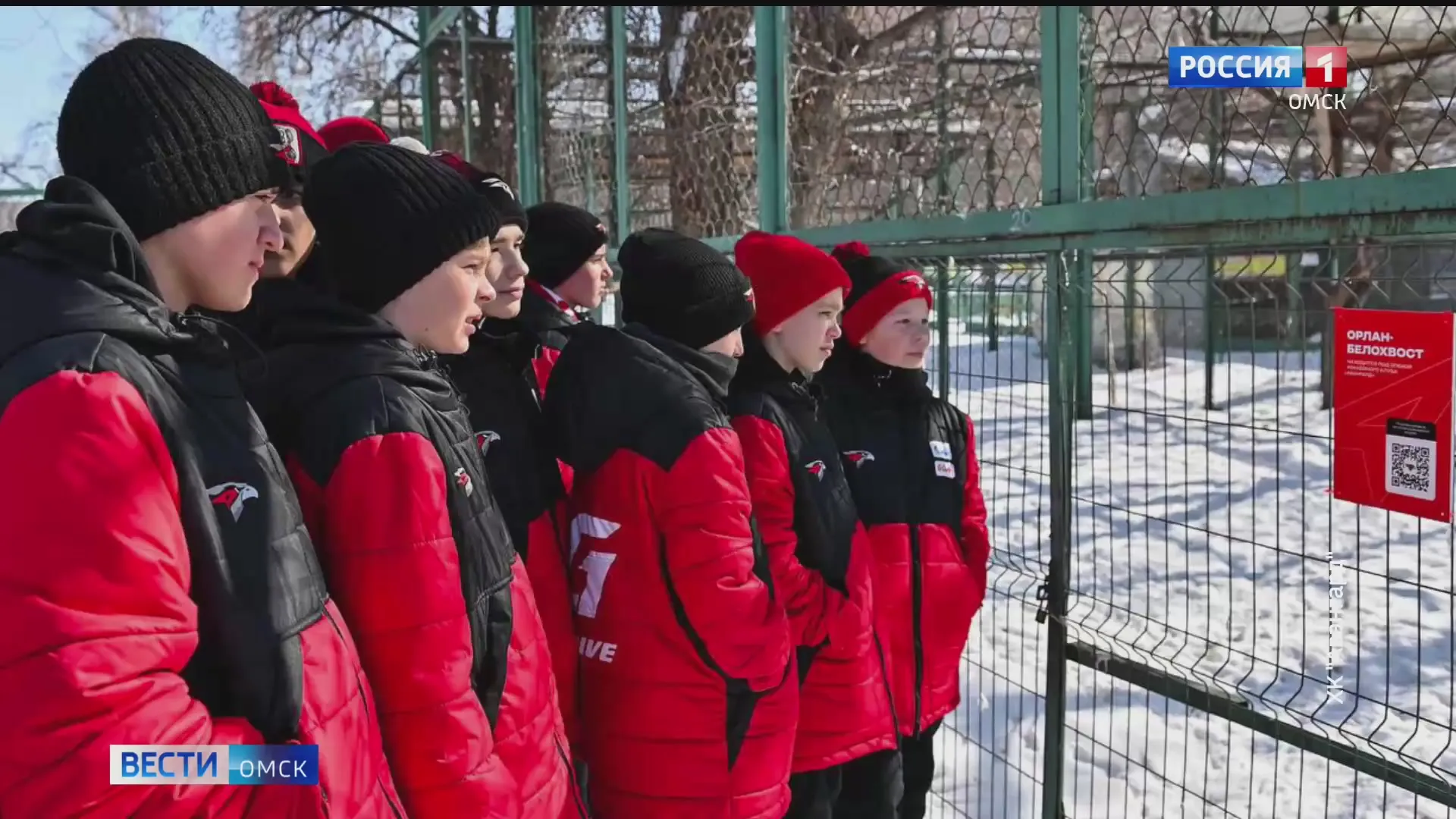 Омский хоккейный клуб «Авангард» взял под опеку птиц