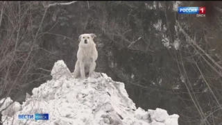 В омском парке Победы орудует банда, которая держит в страхе всех посетителей
