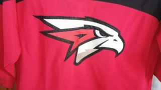 Шел мимо и украл: в Омске поймали вора фанатского свитера «Авангарда»