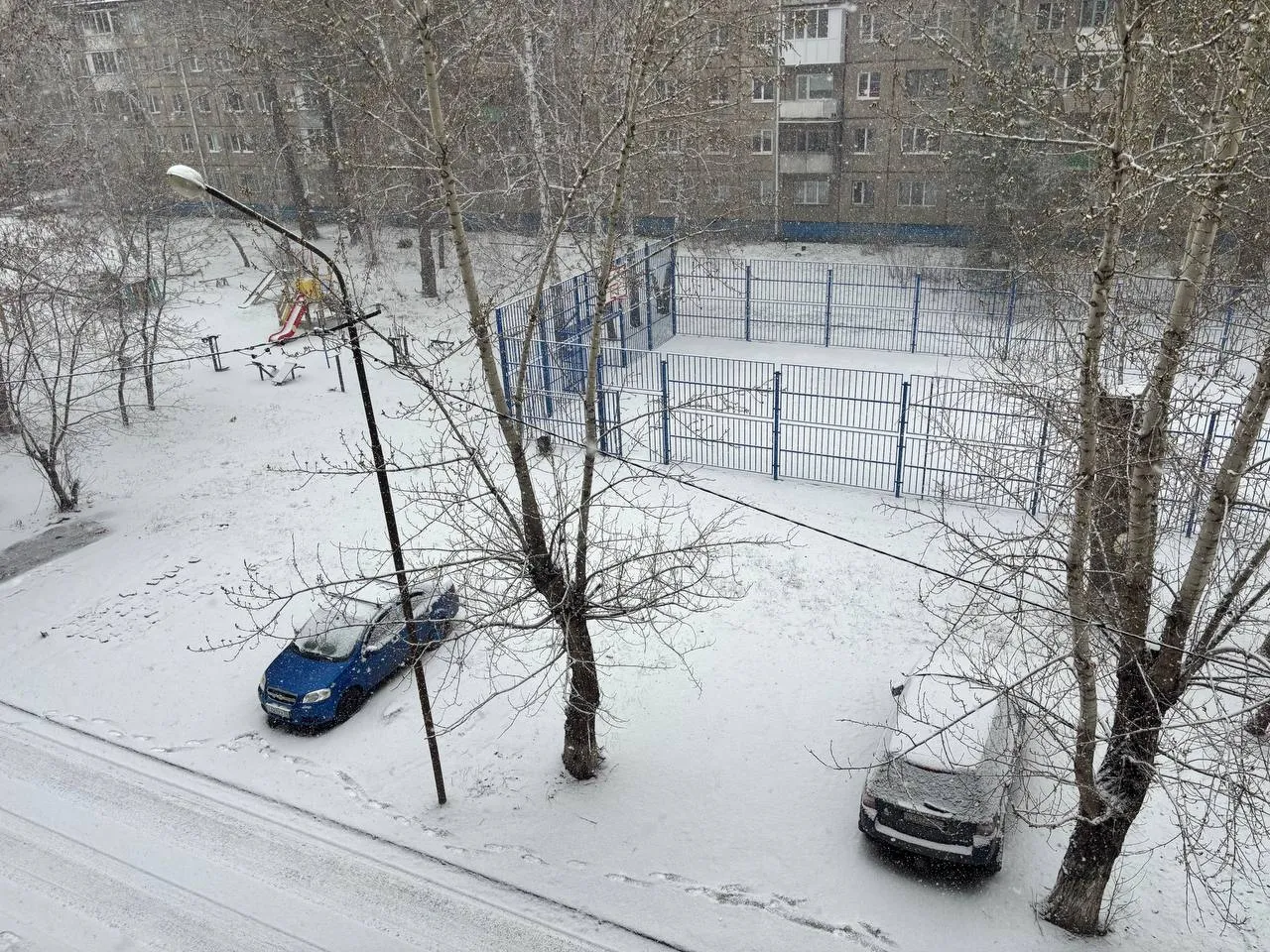 В Омский регион пришли ночные заморозки