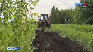 В Омске начали создавать минерализованные полосы