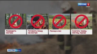 Сразу два крупных лесных пожара за минувшие сутки охватили Омскую область