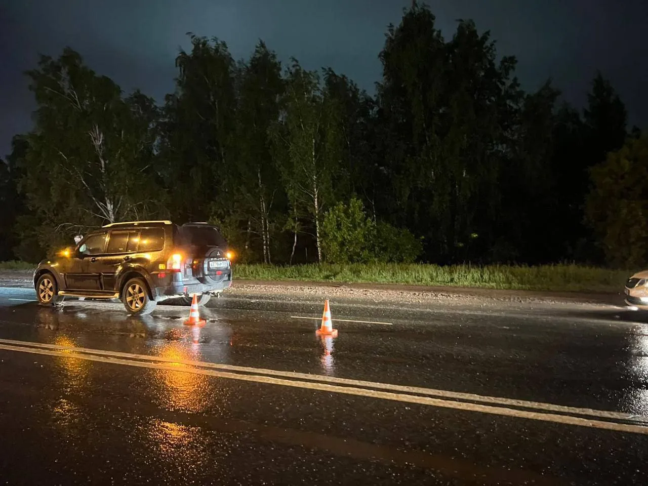 В Омске пешеход погиб, переходя дорогу в неположенном месте