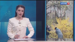У соседей: В Томске ботаническая сенсация