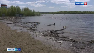 В Усть-Ишимском районе погибли два брата