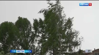 Ночные заморозки продолжатся в Омске