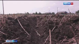 Посевная в Омской области временно приостановлена