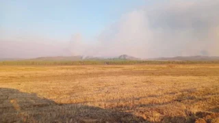 Омские авиапожарные приступили к работам в Забайкалье