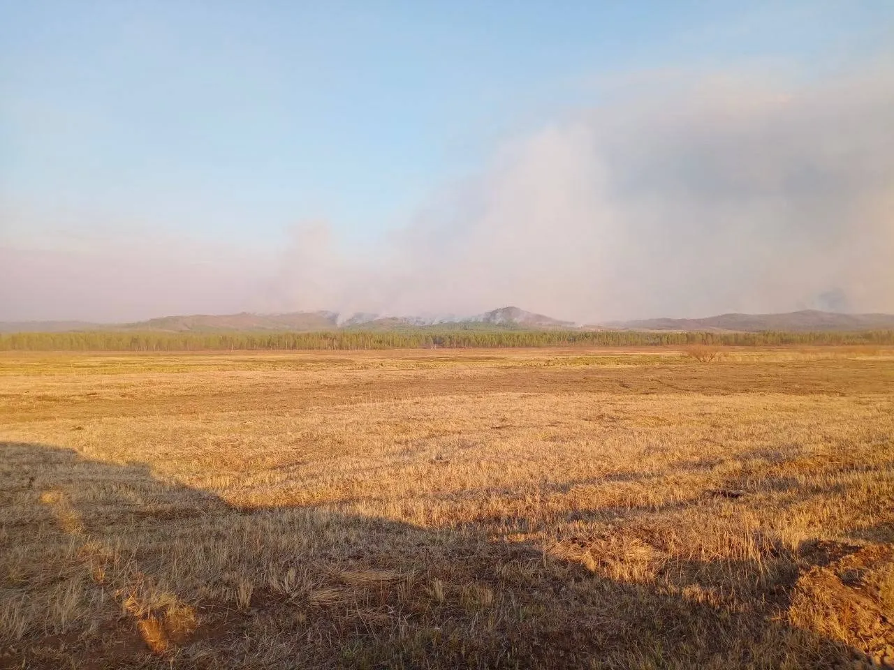 Омские авиапожарные приступили к работам в Забайкалье