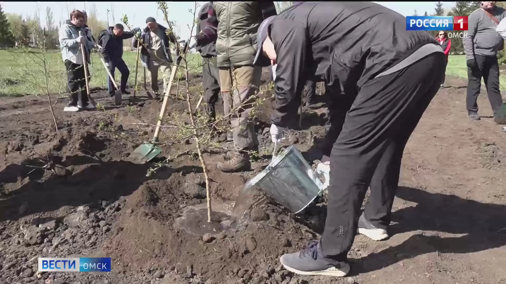 В двух районах Омской области высадят деревья в память о земляках, погибших в годы войны