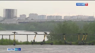 В Омске растёт число ДТП с участием электросамокатов