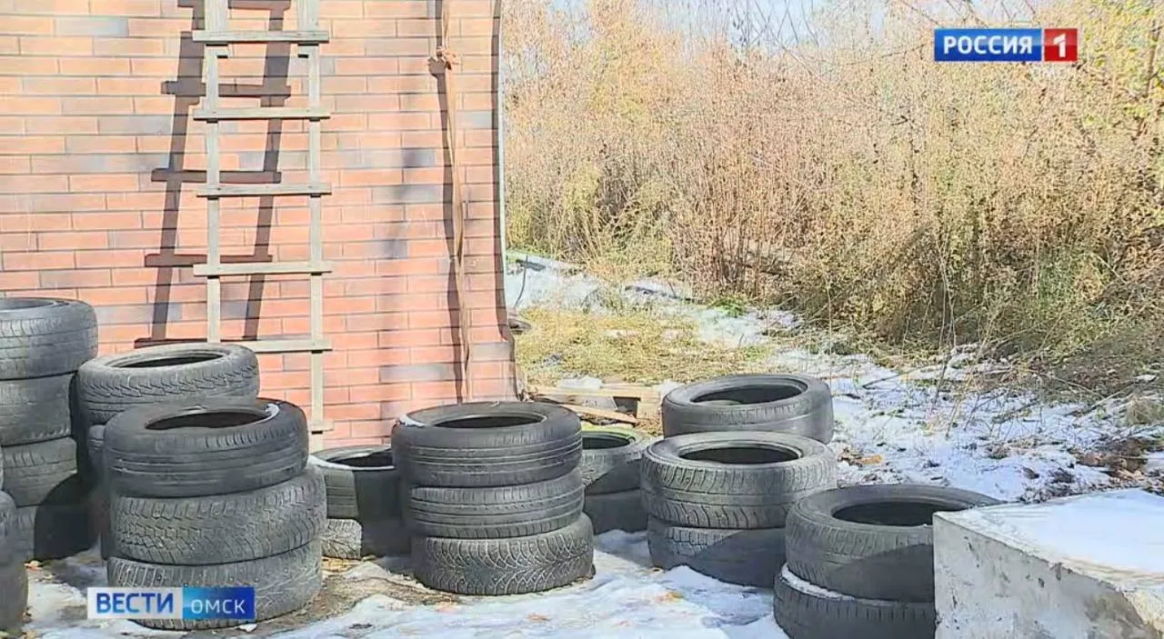 В Омске построят завод по производству грузовых шин