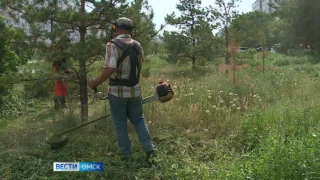 В течение мая проведут покос более чем на 275 гектарах городских территорий