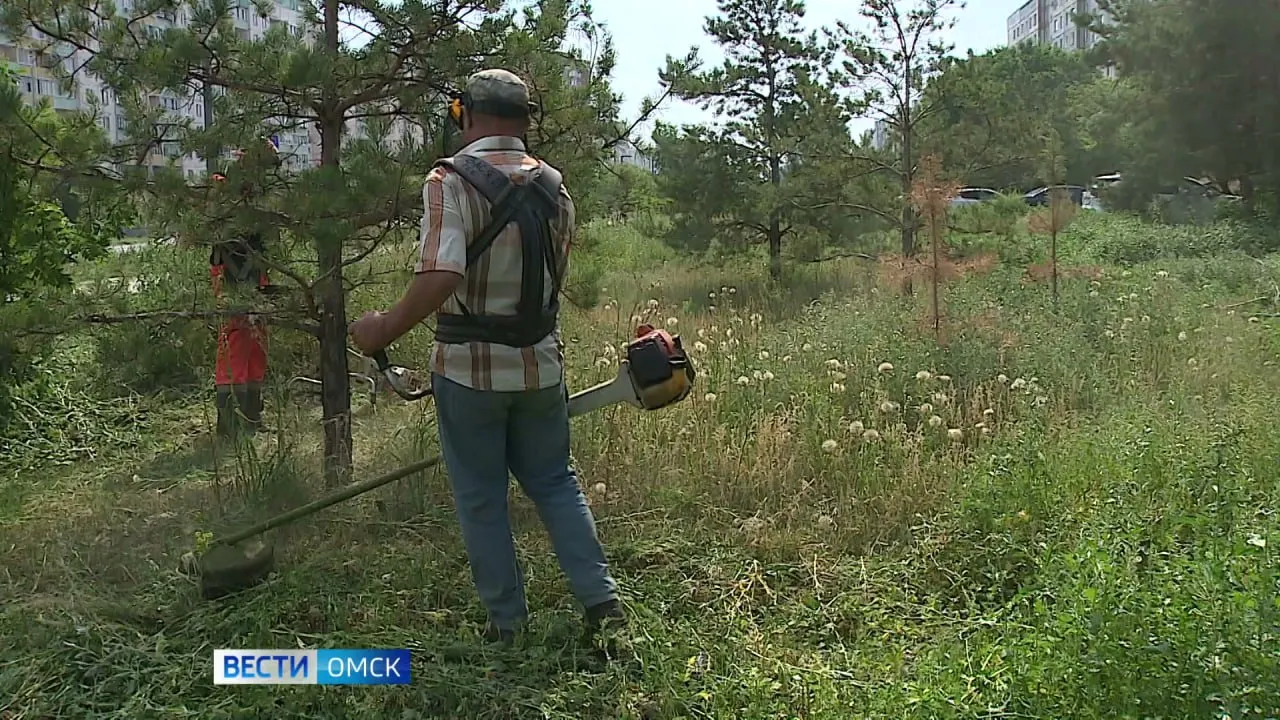 В течение мая проведут покос более чем на 275 гектарах городских территорий