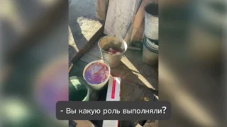 В Омской области возбудили уголовное дело по факту незаконной охоты