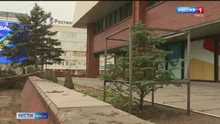 В Омске возле торгового центра снесли сразу 13 голубых елей