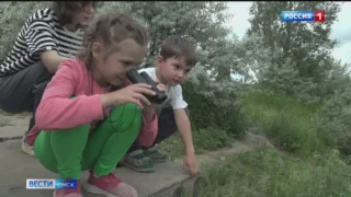 В парке «Птичья гавань» запустили экологические экскурсии
