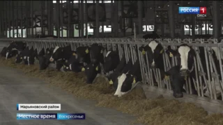 Омские аграрии делают поставки в 45 стран мира