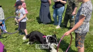 В Омске концерты для детей прошли по всему городу