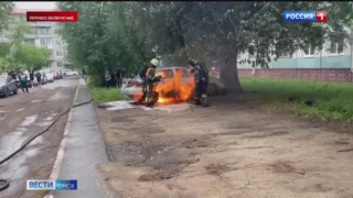 В Называевском районе возбудили уголовное дело по факту незаконной рубки лесных насаждений