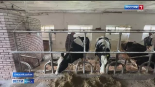 На следующей неделе стартует главное сельскохозяйственное событие — выставка-ярмарка «Агро-Омск»