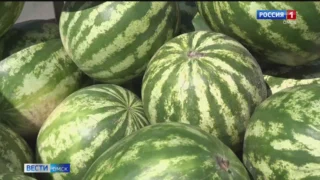 Рейд по рынкам, на которых продают фрукты и овощи, провели сотрудники Россельхознадзора