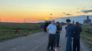 В Омской области произошло смертельное ДТП из-за столкновения с лошадью