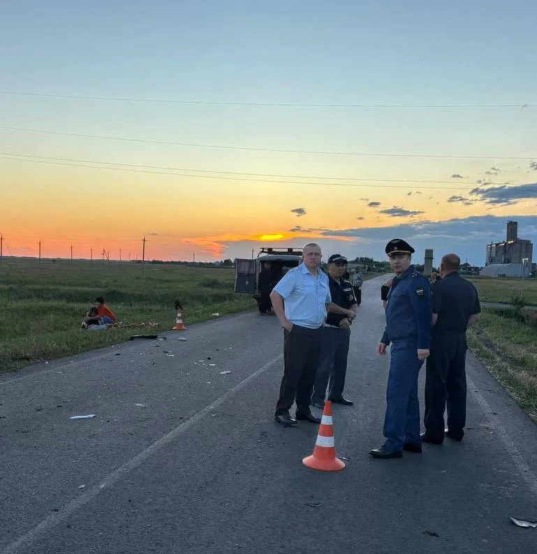 В Омской области произошло смертельное ДТП из-за столкновения с лошадью