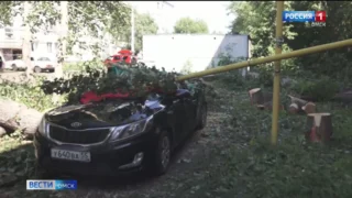 Городские службы продолжают ликвидировать последствия ураганного ветра