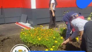 В Омске у Госпиталя ветеранов войн высадили более 5,5 тысяч цветов и обустроили тротуар