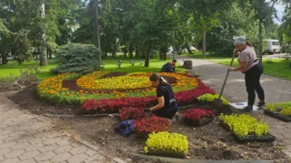 В Омске продолжается активная подготовка к «Флоре-2025»