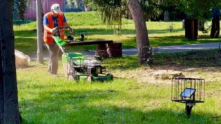 Омск готовится к выставке «Флора-2025»