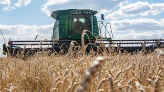 Омские аграрии начали уборку озимых зерновых культур