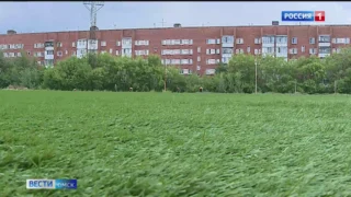В Омске началось масштабное обновление спортивных учреждений