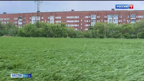 В Омске началось масштабное обновление спортивных учреждений