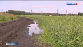 Проливные дожди поставили под угрозу будущий урожай