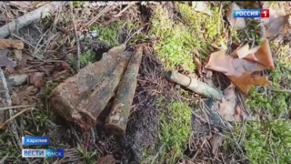 Омские поисковики, работающие в Карелии, нашли останки бойца Красной армии