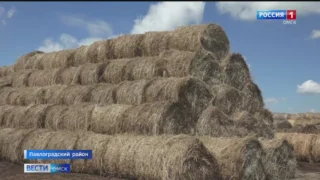 Омские аграрии закончили заготовку сена