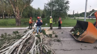 В Омске продолжается ликвидация последствий урагана