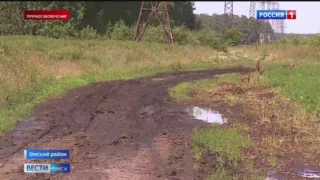 В Омске затяжные дожди остановили заготовку сена и могут сказаться на будущем урожае