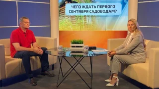 «Актуальное интервью. Чего ждать первого сентября садоводам?»