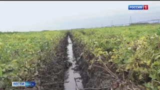 В Омской области готовятся ввести режим ЧС регионального масштаба