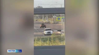 В Омске по жалобе жителей задержали дрифтера